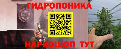 каннабис Аргун