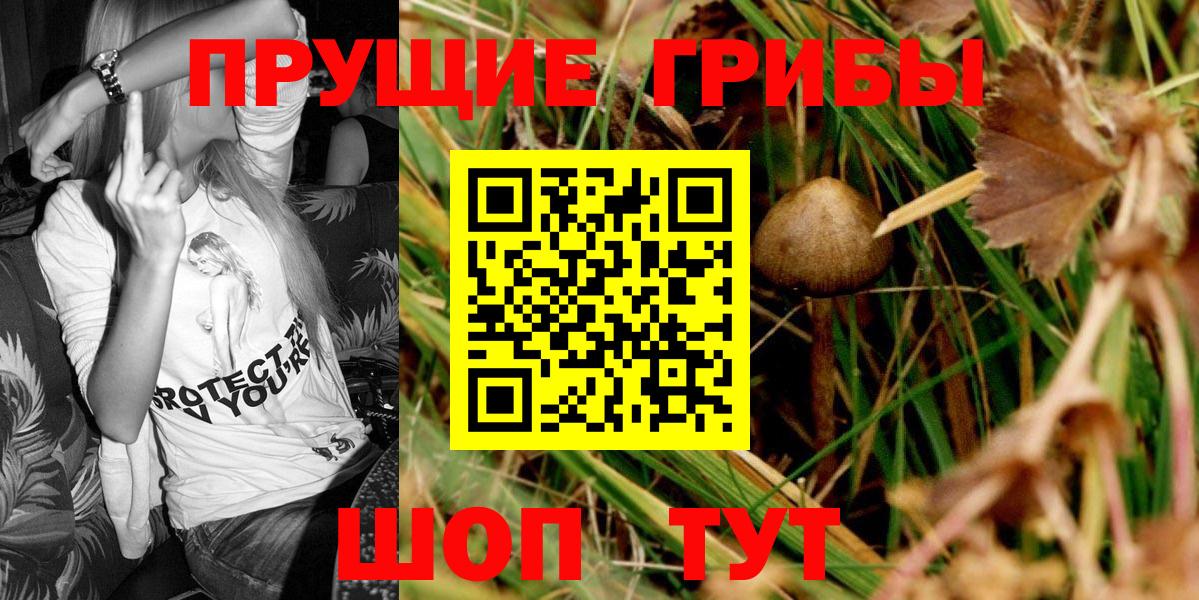 Псилоцибиновые грибы MAGIC MUSHROOMS  Галлюциногенные грибы GOLDEN TEACHER  Вязники  Вход с VPN 