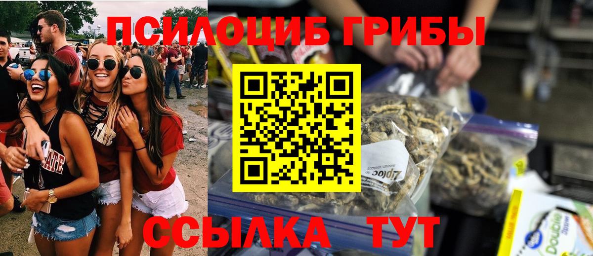 Галлюциногенные грибы Psilocybe Вязники
