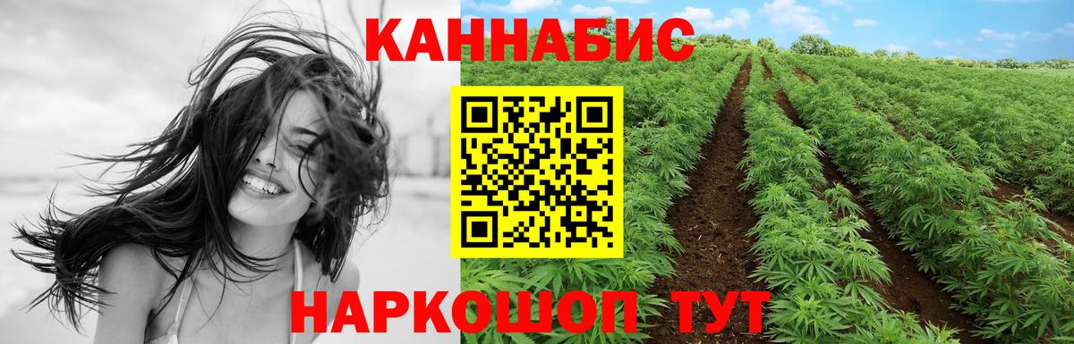 Бошки Шишки семена  Вход с VPN  МАРИХУАНА OG Kush  Шишки марихуана VHQ  Вязники 